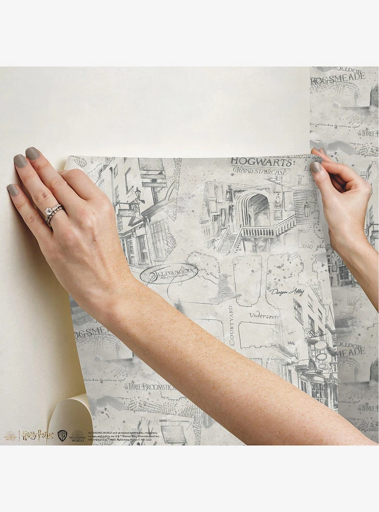 Harry Potter Taupe Map Peel & Stick Wallpaper