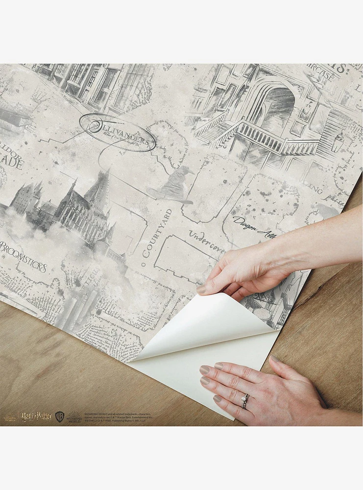 Harry Potter Taupe Map Peel & Stick Wallpaper