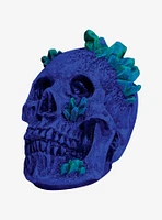 Kryptonite Skull Decor