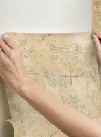 Game of Thrones Map Tan Peel & Stick Wallpaper