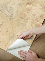 Game of Thrones Map Tan Peel & Stick Wallpaper