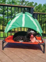 BigMouth Elevated Dog Bed Watermelon