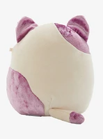 Squishmallows Purple Velvet Cat Plush