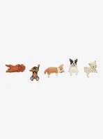 Yell Playful Dogs Blind Box Figure