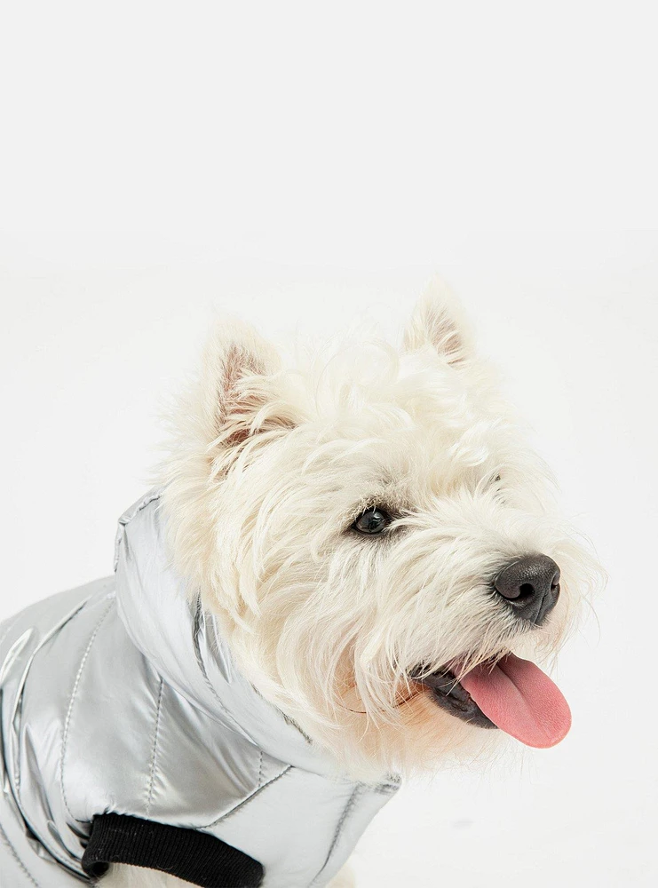 Emma Dog Jacket Silver