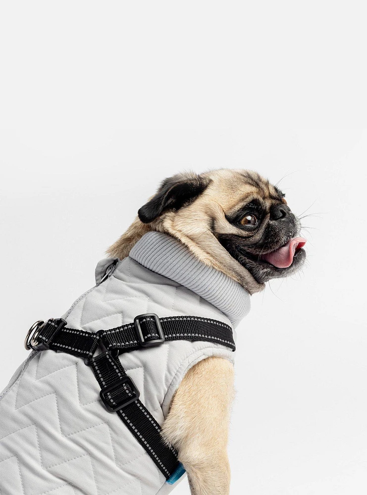 Quilted Dog Jacket With Built-In Harness