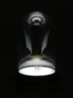 Harry Potter Golden Snitch Bell Jar Light