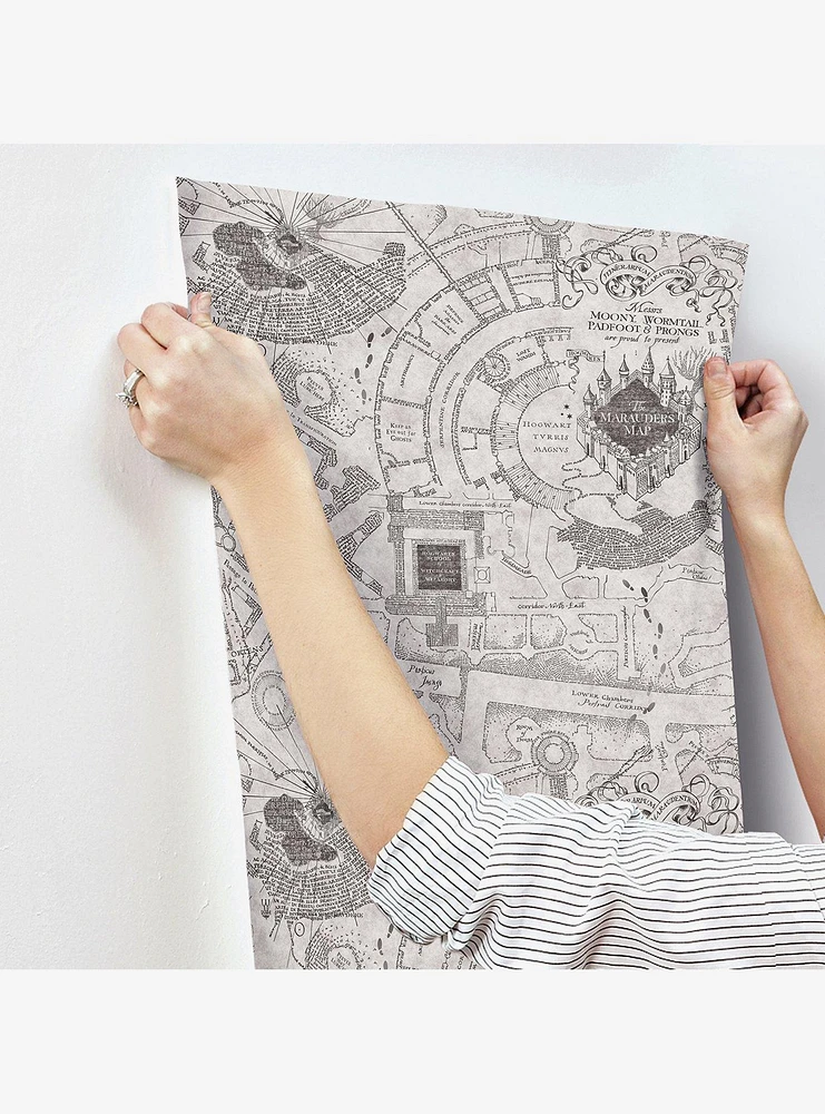 Harry Potter Marauder's Map Grey Peel & Stick Wallpaper