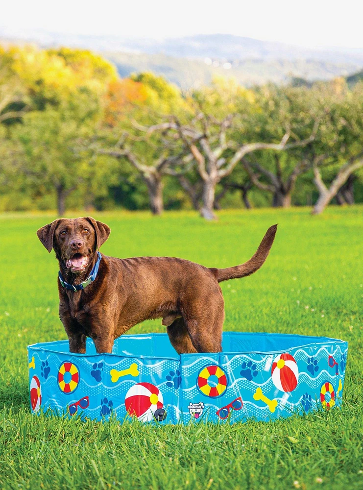 Patterned Hard Side Dog Pool