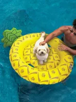 Pineapple Dog Pool Float
