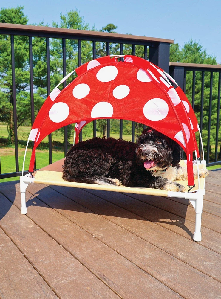 Elevated Dog Bed Mushroom