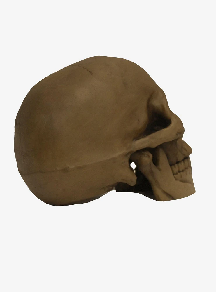 Resin Cranium Skull Decor