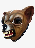 Dog Chihuahua Mask