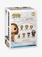 Funko Harry Potter Pop! Hermione Granger With Crookshanks Vinyl Figure