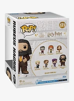 Funko Pop! Harry Potter and the Prisoner of Azkaban Rubeus Hagrid Suit Super Vinyl Figure