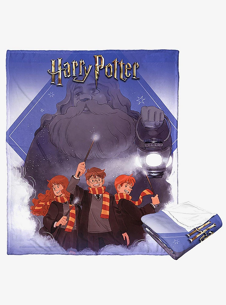 WB 100 Harry Potter Guide Us Hagrid Silk Touch Throw