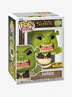 Funko Shrek Pop! Movies Vinyl Figure Hot Topic Exclusive