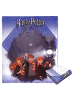 WB 100 Harry Potter Guide Us Hagrid Silk Touch Throw