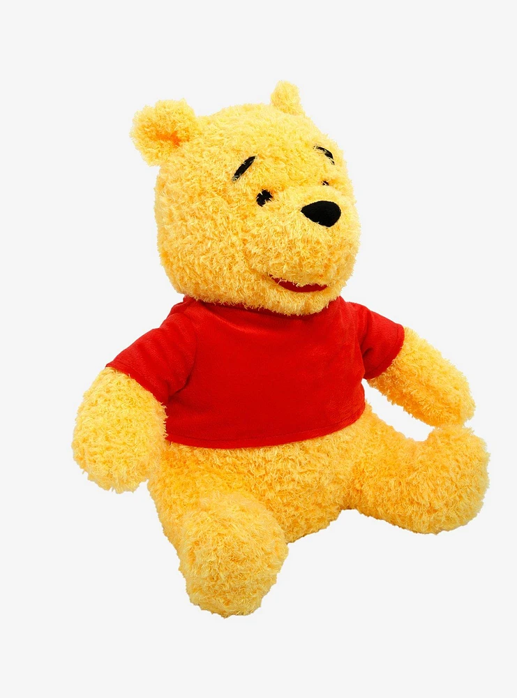 Disney Winnie The Pooh Fuzzy Weighted Plush