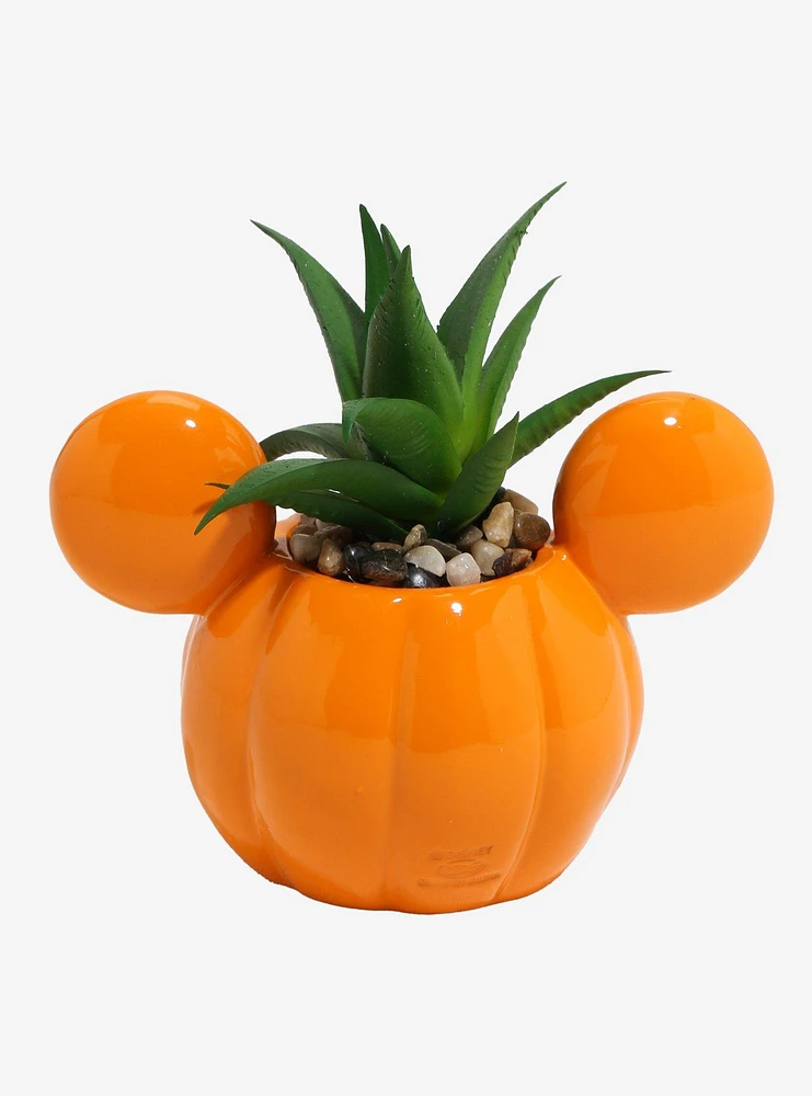 Disney Mickey Mouse Pumpkin Light-Up Faux Succulent Planter