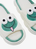 Frog 3D Eye Slippers