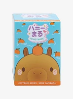 Honeymaru Capybara Blind Box Mini Plush Hot Topic Exclusive