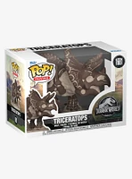 Funko Jurassic World Pop! Movies Triceratops Vinyl Figure