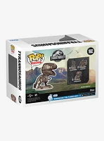 Funko Jurassic World Pop! Movies Tyrannosaurus Rex Vinyl Figure