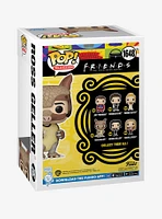 Funko Pop! Television Friends Ross Geller Vinyl Figure