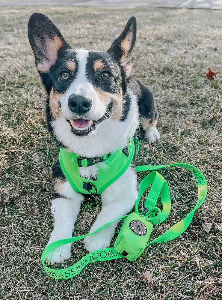 Sassy Woof Neon Green Dog Leash