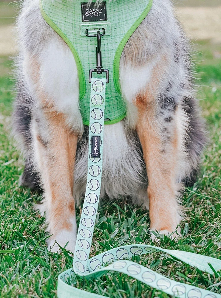 Sassy Woof Serving Up Sass Dog Harness and Leash Bundle