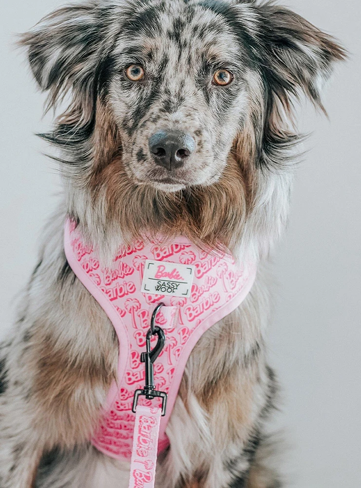 Barbie x Sassy Woof Malibu Dog Harness and Leash Bundle