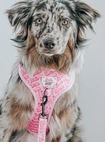 Barbie x Sassy Woof Malibu Dog Harness and Leash Bundle