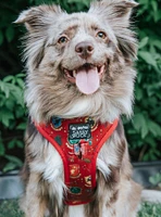 Harry Potter x Sassy Woof Adjustable Dog Harness