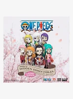 One Piece Freeny's Hidden Dissectibles Ladies Blind Box Figure