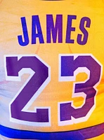 NBA Los Angeles Lakers Lebron James 24" Bleacher Buddy Plush