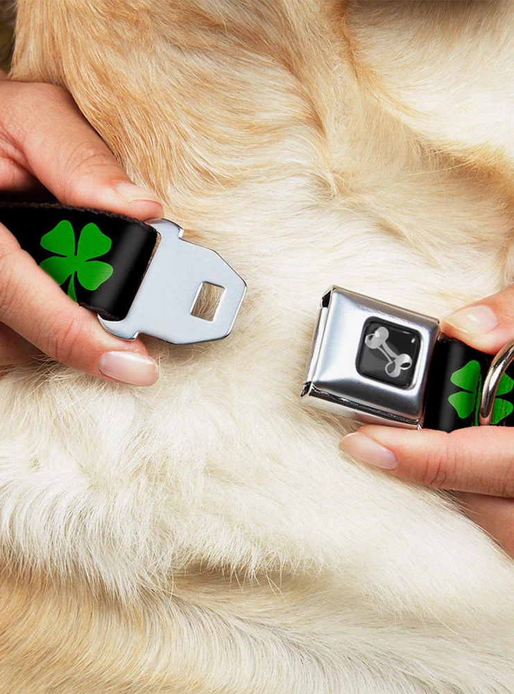 St. Patrick's Day Black Green Seatbelt Buckle Dog Collar