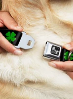 St. Patrick's Day Black Green Seatbelt Buckle Dog Collar