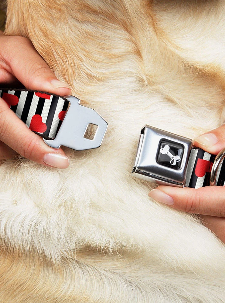 Hearts Scattered Stripe Seatbelt Buckle Dog Collar