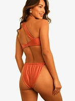 Dippin' Daisy's Frankie Asymmetrical Bandeau Swim Top Dusty Rose