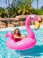 Flamingo Tube Runner Motorized Pool Tube