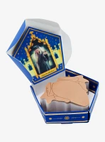 Harry Potter Chocolate Frog Sticky Note Set