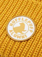 Harry Potter Hufflepuff Alumni Knit Beanie - BoxLunch Exclusive