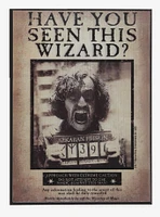 Harry Potter Sirius Black Azkaban Lenticular Wall Art