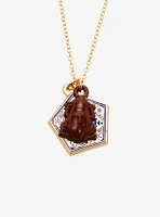 Harry Potter Chocolate Frog Magnetic Necklace