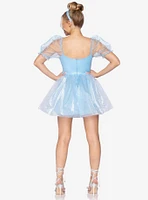 Frosted Organza Babydoll Dress