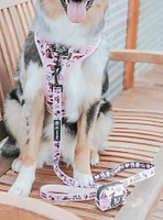 DC Comics Harley Quinn x Sassy Woof Dog Leash