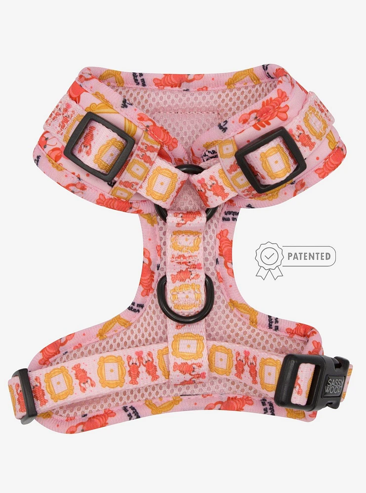 Friends x Sassy Woof You're My Lobster Adjustable Dog Harness