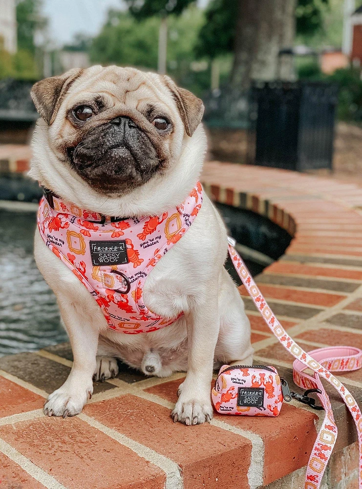 Friends x Sassy Woof You're My Lobster Adjustable Dog Harness