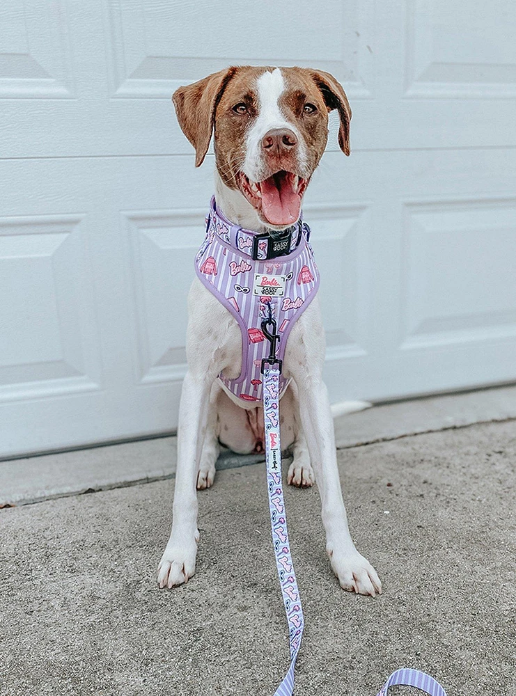 Barbie x Sassy Woof Closet Goals Adjustable Dog Harness